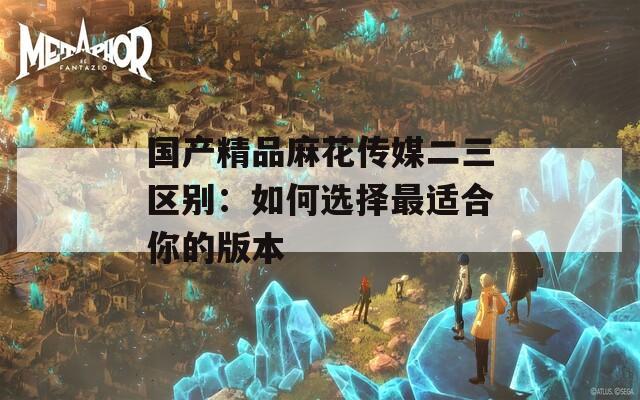 国产精品麻花传媒二三区别：如何选择最适合你的版本