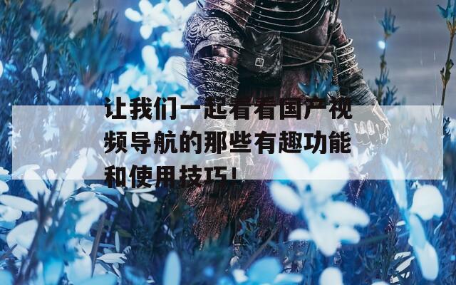 让我们一起看看国产视频导航的那些有趣功能和使用技巧！