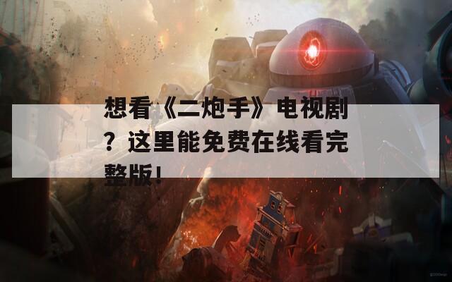 想看《二炮手》电视剧？这里能免费在线看完整版！