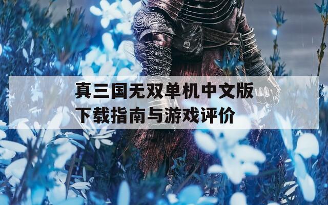 真三国无双单机中文版下载指南与游戏评价
