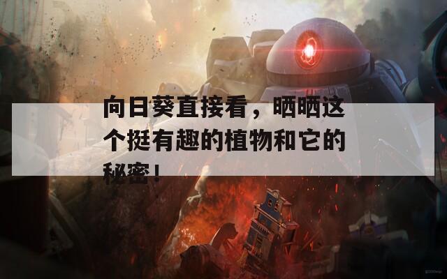 向日葵直接看，晒晒这个挺有趣的植物和它的秘密！