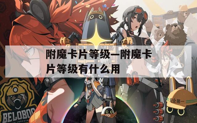 附魔卡片等级—附魔卡片等级有什么用