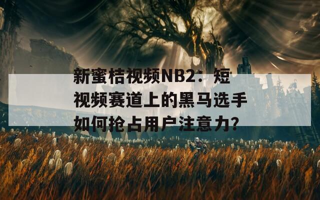 新蜜桔视频NB2：短视频赛道上的黑马选手如何抢占用户注意力？