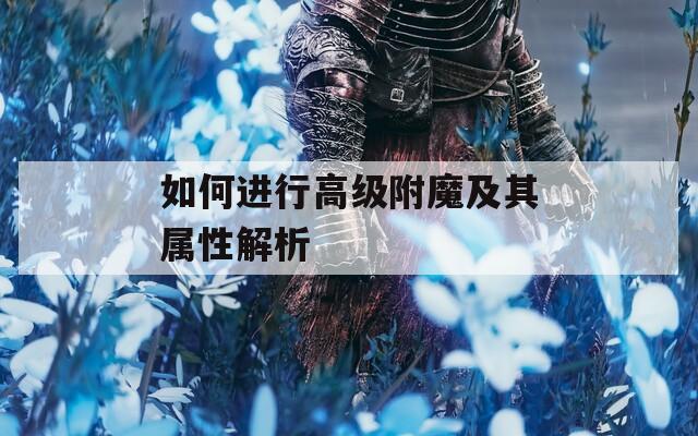 如何进行高级附魔及其属性解析
